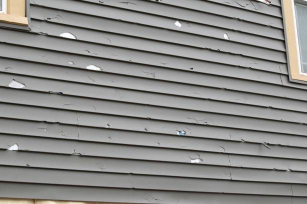 Best Siding Repair  in Riverside, UT